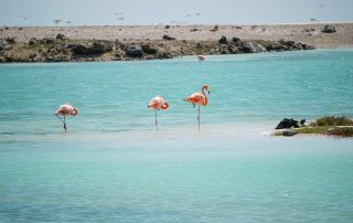 Porto Marie, Curacao